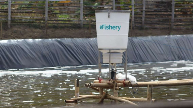 Produk pakan ikan dan udang eFishery.