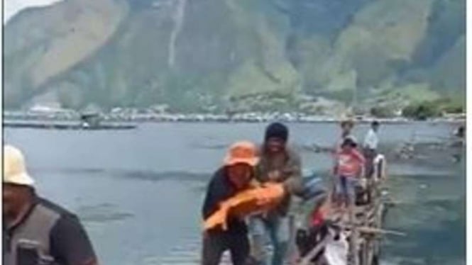 Viral ikan mas 15 kg ditangkap di danau Toba