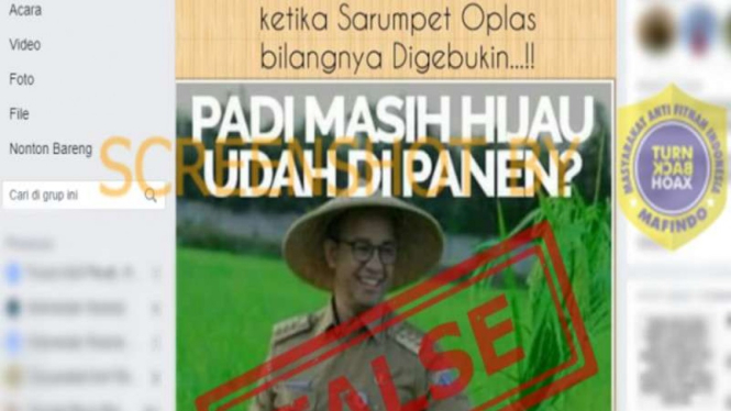 Hoax foto Gubernur Anies Baaswedan panen padi masih hijau
