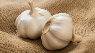 Letakkan Bawang Putih di Bawah Bantal, Manfaatnya Mengejutkan