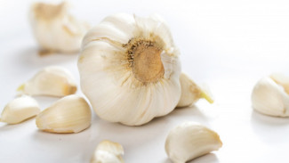 Studi: Bawang Putih Australia Bisa Membunuh COVID-19 dan Flu, Diklaim Manjur 99 Persen