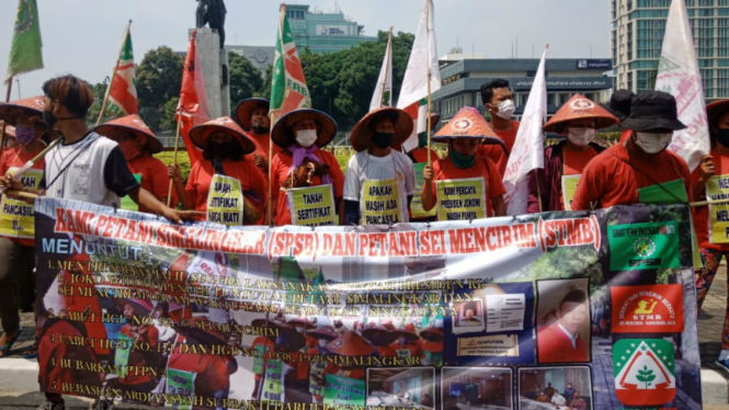 Petani SImalingkar melakukan aksi demo di Jakarta