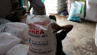 Jokowi Tambah Subsidi Pupuk Bagi Petani Hingga Rp14 Triliun