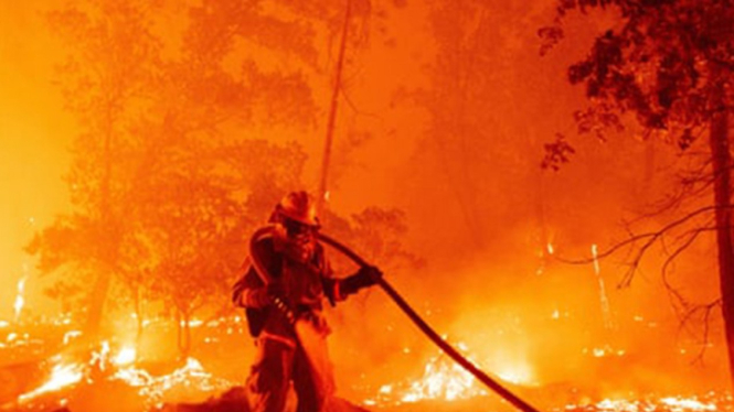 Kebakaran di California, AS