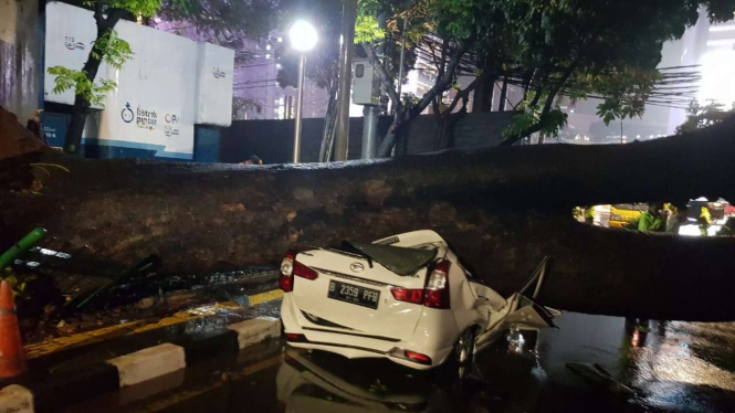 Mobil Tertimpa Pohon di Menteng Usai Hujan Deras 