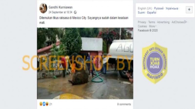 Hoax tikus raksasa