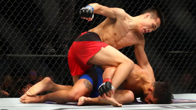 Petarung UFC berjuluk Zombie Korea, Chan Sung Jung