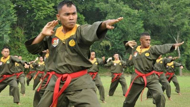 VIVA Militer: Pelatih bela diri militer Kostrad TNI.