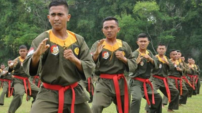 VIVA Militer: Pelatih bela diri militer Kostrad TNI.