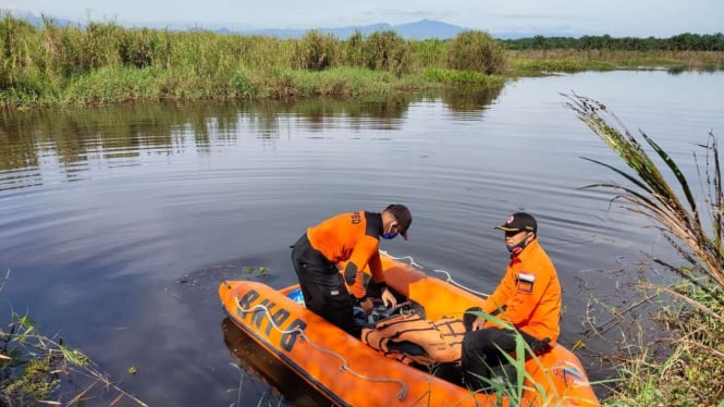 Penampung Lidah Buaya Di Sumatera Utara Warga Langkat Tangkap Buaya Ukuran Besar Lidah Buaya Termasuk Tanaman Sukulen Sehingga Dapat Sakit Akibat Kelebihan Air Kekurangan Air Serta Faktor Lingkungan Lainnya