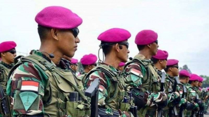 VIVA Militer : Prajurit Marinir TNI AL (Ilustrasi) 