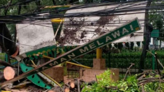 Tertimpa Pohon, Sebuah Halte Ringsek Tak Berbentuk