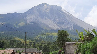 Selama Sepekan, Aktivitas Kegempaan Gunung Merapi Meningkat