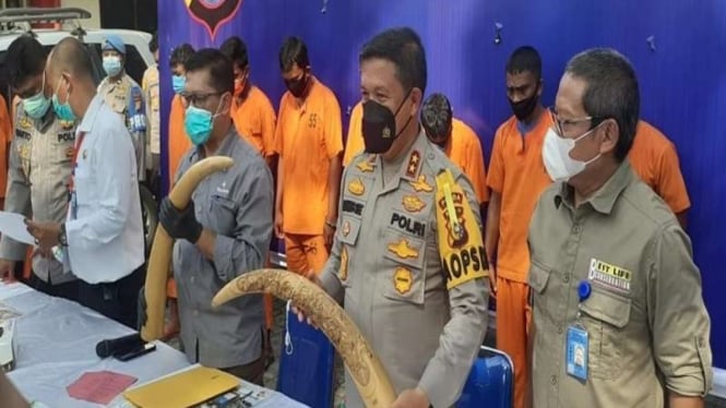 Polisi gagalkan penjualan gading gajah di Riau