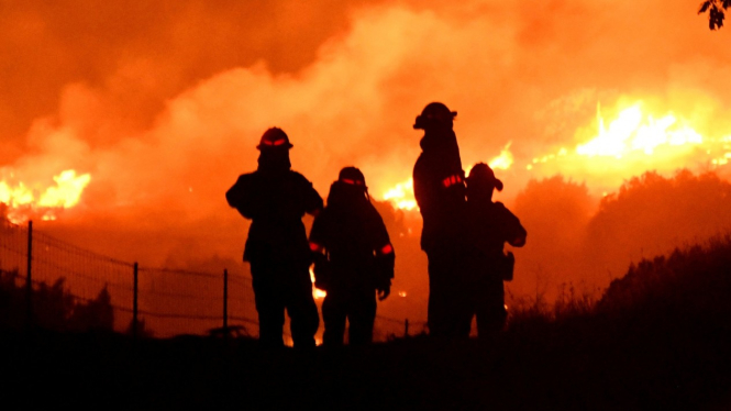 Kebakaran hutan di California.-Reuters

