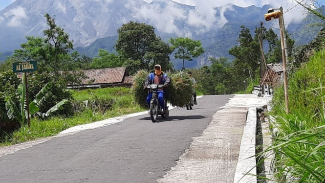 Warga di lereng Merapi masih mencari rumput pakan ternak 