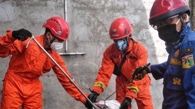 Kobra Berkepala Dua Ditemukan di Tanjung Priuk.