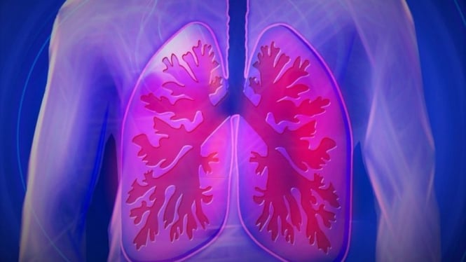 Ilustrasi gambar paru-paru.