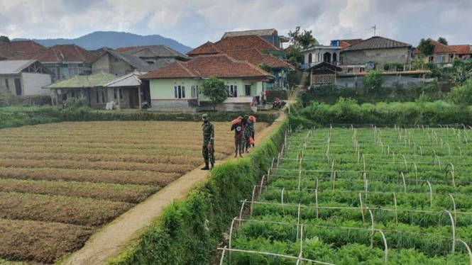 VIVA Militer: Prajurit Kopassus TNI bergerak di kaki Gunung Gede Pangrango.