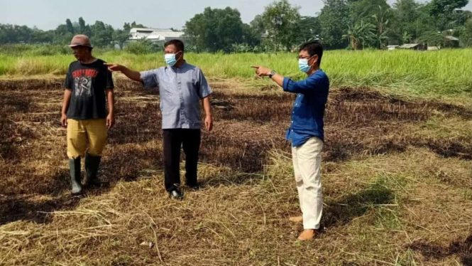 Kepala Unit Pelaksana Teknis Daerah TPU Pedurenan, Yayan Sopian, (baju biru) saat memantau lahan baru di kompleks TPU Pedurenan pada Jumat, 27 November 2020.