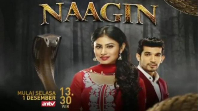 Catat! ANTV Menayangkan Serial India ‘Naagin’, Mulai Selasa (1/12/2020), Jam 13.30 WIB