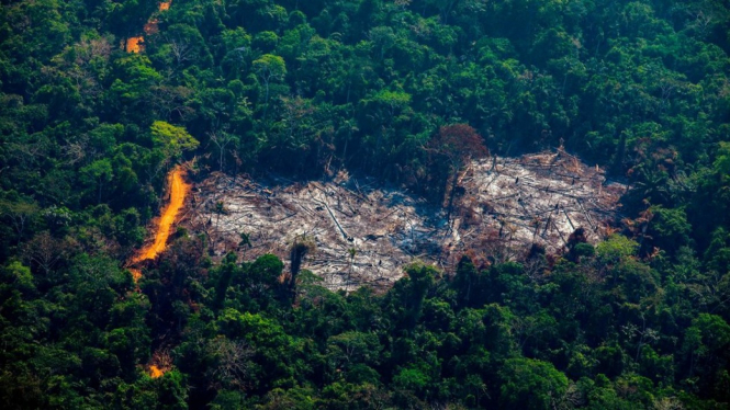 Deforestasi di Altamira, Getty Images via BBC Indonesia