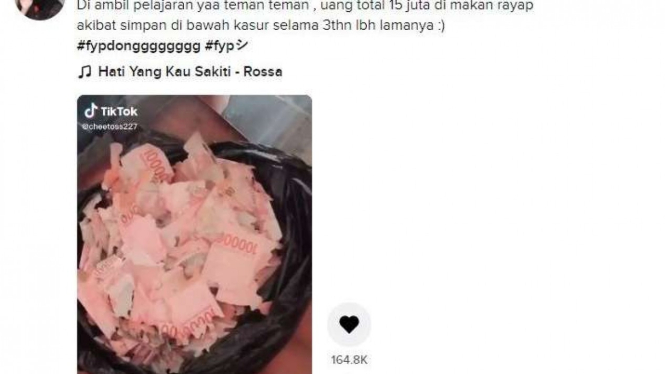 Viral uang Rp15 juta di Tiktok disebut hancur dimakan rayap