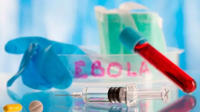 Virus ebola 