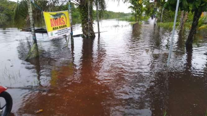 Lokasi buaya besar muncul saat banjir di Jambi