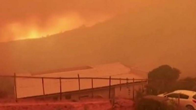 Penampakan Kebakaran Hutan di Chili, Langit Jadi Merah 