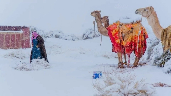 Arab Saudi Alami Cuaca Ekstrem Salju Turun Di Wilayah Pegunungan