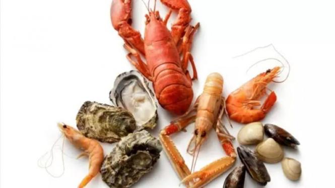 Lobster, shrimp dan prawns