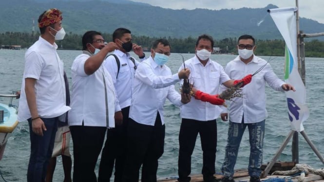Menteri KKP Sakti Wahyu Trenggono panen lobster hasil budidaya.