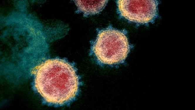 Sejumlah varian baru virus SARS-CoV-2 diketahui lebih menular namun belum ada bukti lebih mematikan.