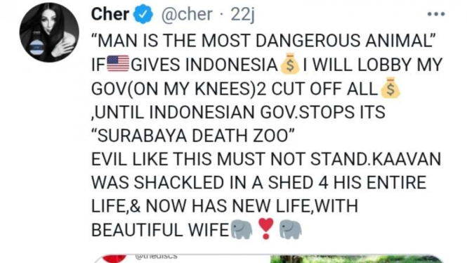 Capture sahut-sahutan penyanyi Amerika, Cherilyn Sarkisian alias Cher dengan Humas Pemkot Surabaya soal Kebun Binatang Surabaya di Twitter.