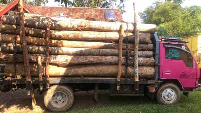 Polisi mengamankan kayu hasil illegal logging di Jambi