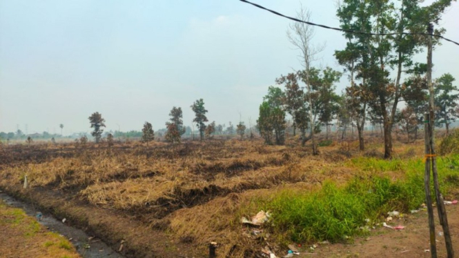 Dampak kebakaran hutan dan lahan di Kaimantan Barat