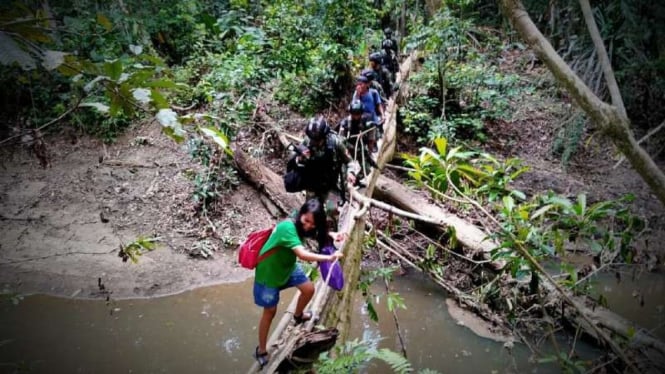 VIVA Militer: Satgas Pamtas Yonif 312/Kala Hitam tembus hutan Papua