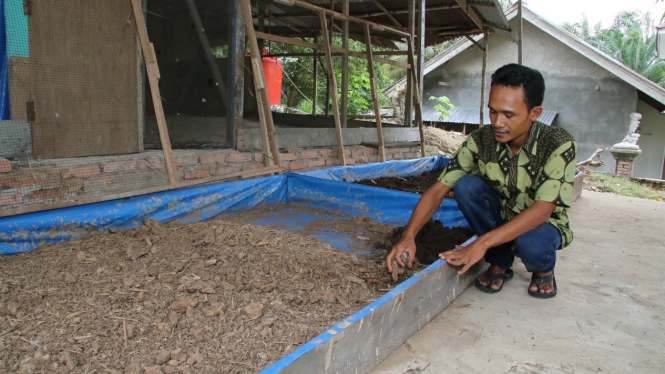 Kristiono, petani generasi kedua yang mengembangkan budidaya cacing.