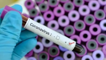 Virus Corona.