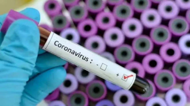Virus corona Virus corona