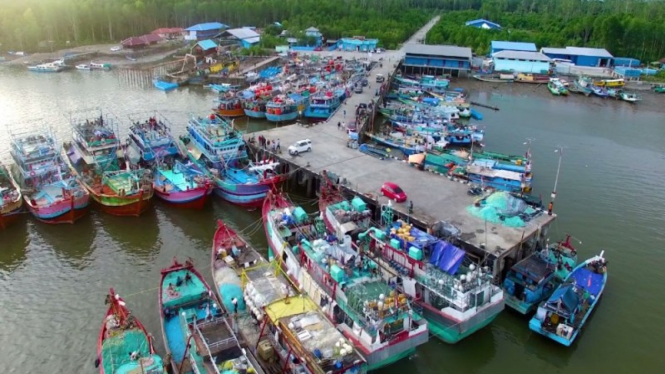 Aktivitas bongkar muat hasil tangkapan perikanan di dermaga pelabuhan perikanan