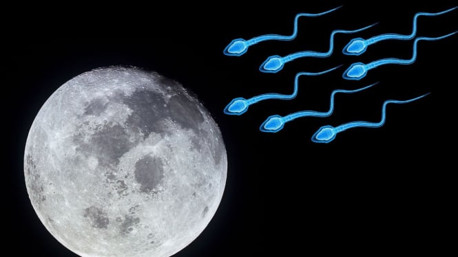 Ilustrasi Bulan dan sperma.