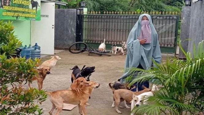 Hesti Sutrisno, perempuan bercadar yang memelihara puluhan anjing di Bogor
