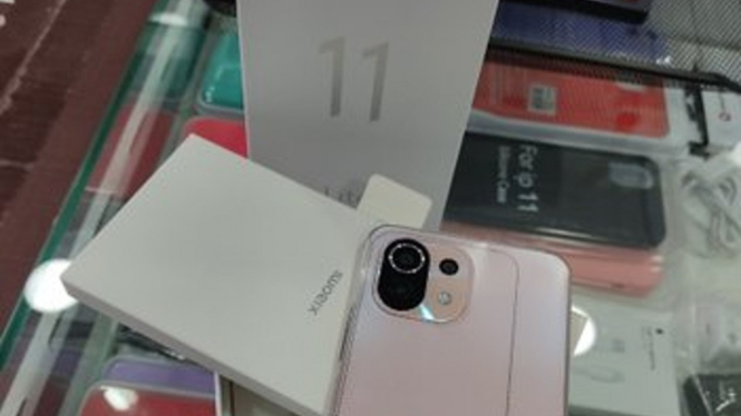 Xiaomi Mi 11 Lite.