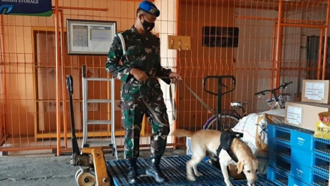 TNI AU turunkan anjing pelacak di Bandara