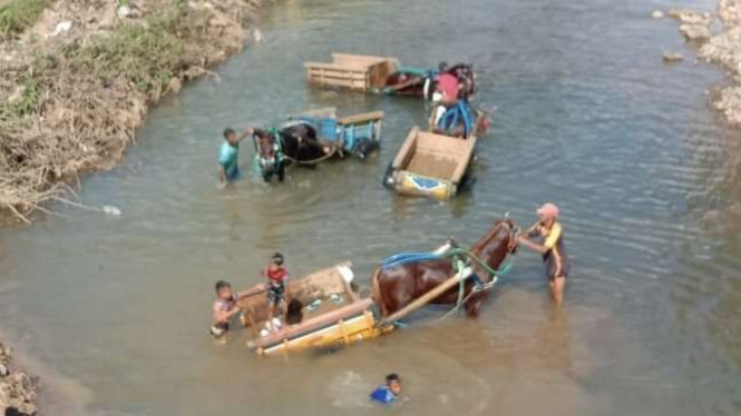 VIVA Militer: Pasukan gerobak kuda bantu pembangunan jembatan di Bima