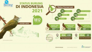 179 Jenis Burung di Indonesia Terancam Kepunahan