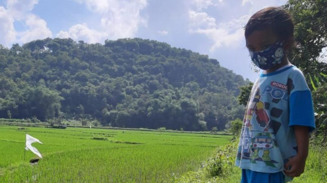 Mengenal sawah danpadi sejak dini