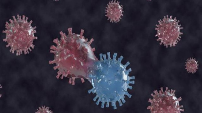 Virus Corona COVID-19. Virus Corona COVID-19.